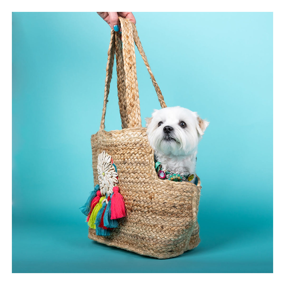 DWAM Summer Bag Woodstock