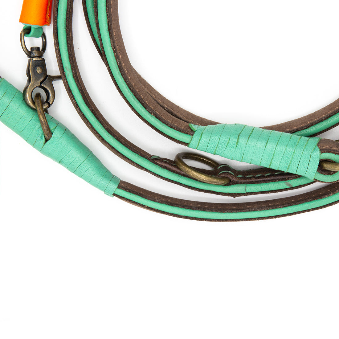 Picture of a brown/turquoise leather leash and the details Brand: Dog with a Mission