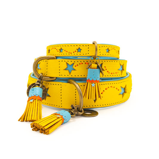 DWAM Collar Urban Blue Star