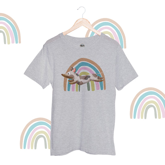 Unisex Shirt "Rainbow" Dapple