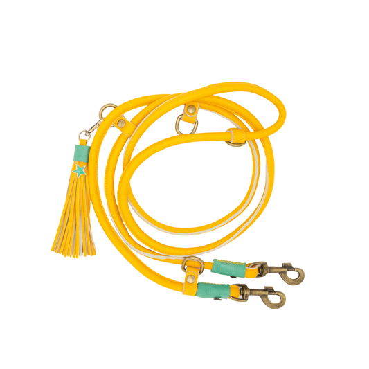 DWAM Leather Leash Mokum