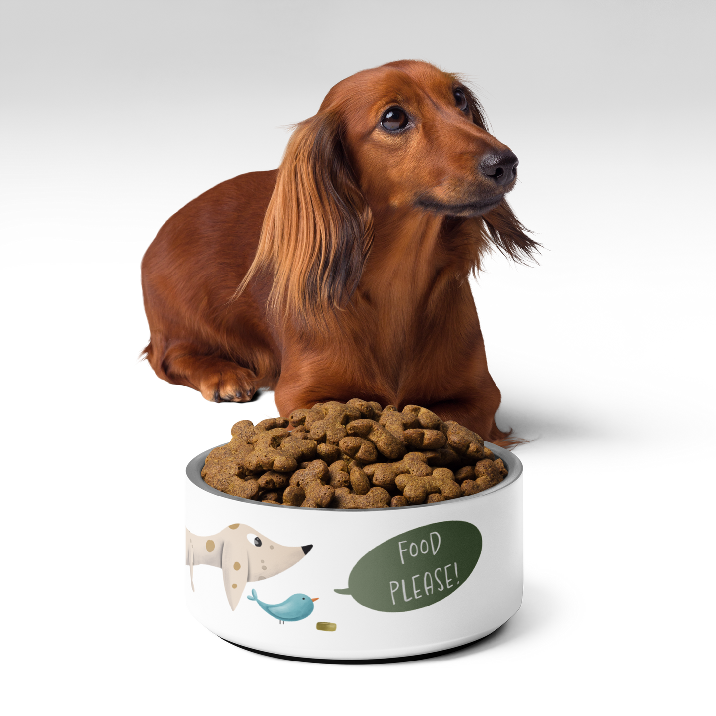 Bowl "Food Please!" Dapple Dachshund