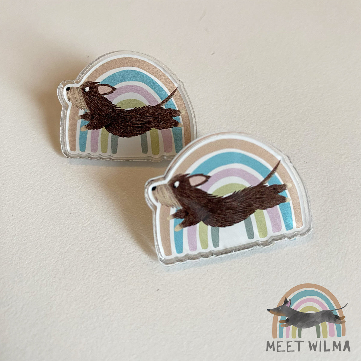 Acrylic Pin "Rainbow"