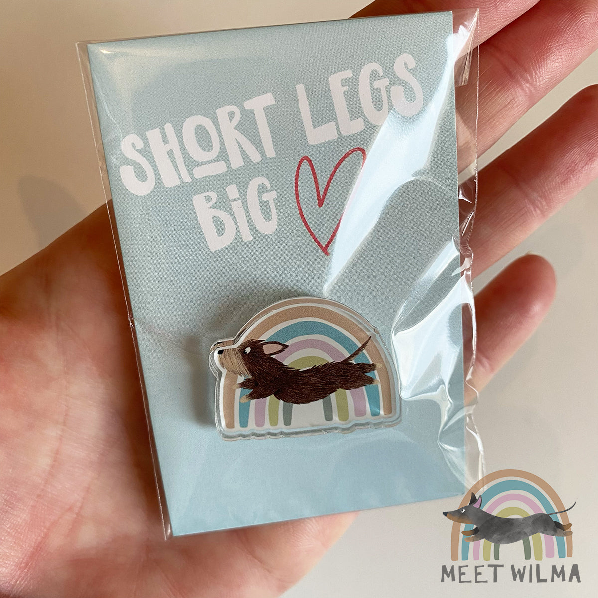 Acrylic Pin "Rainbow"