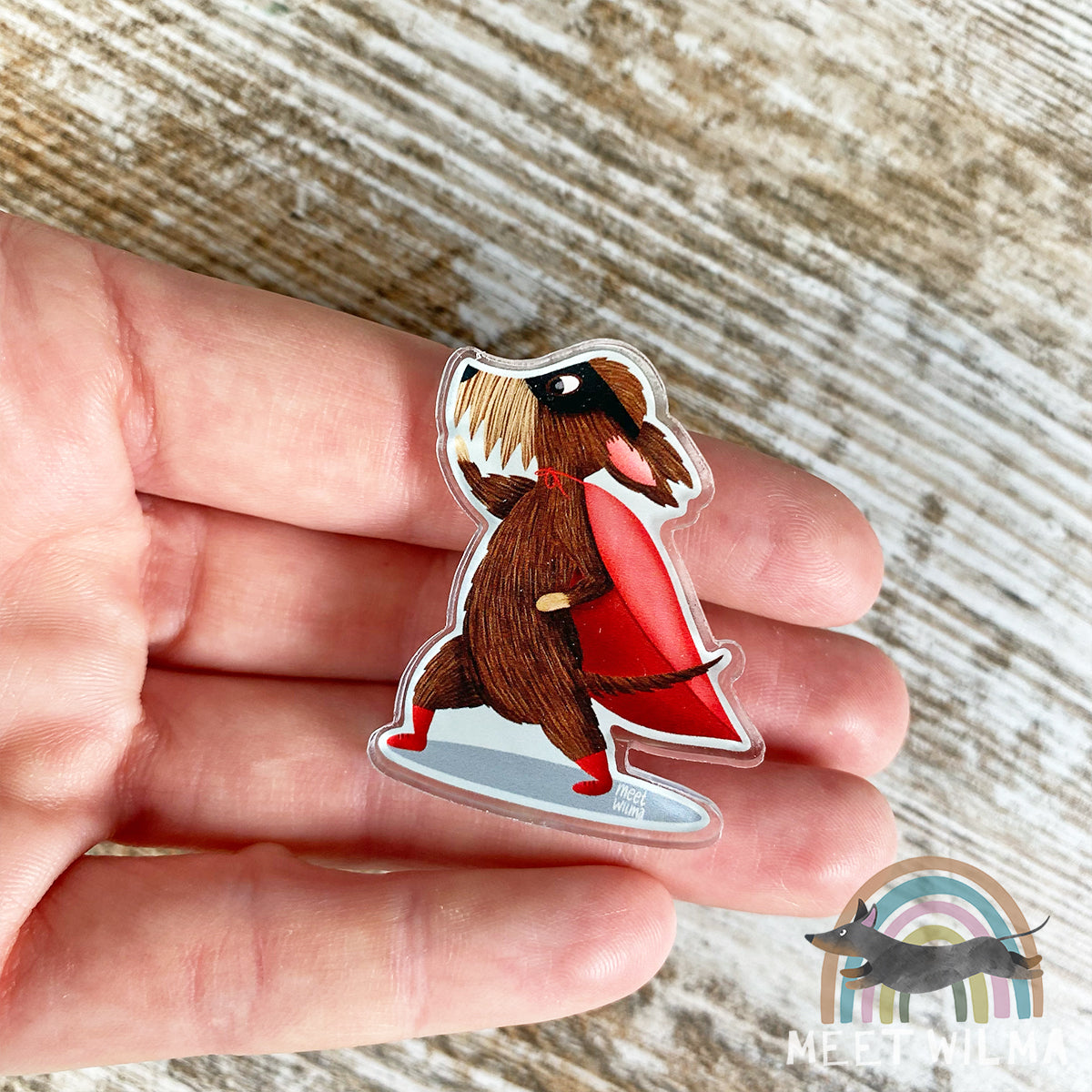 Acrylic Pin "Superdachshund" Wire-haired Dachshund