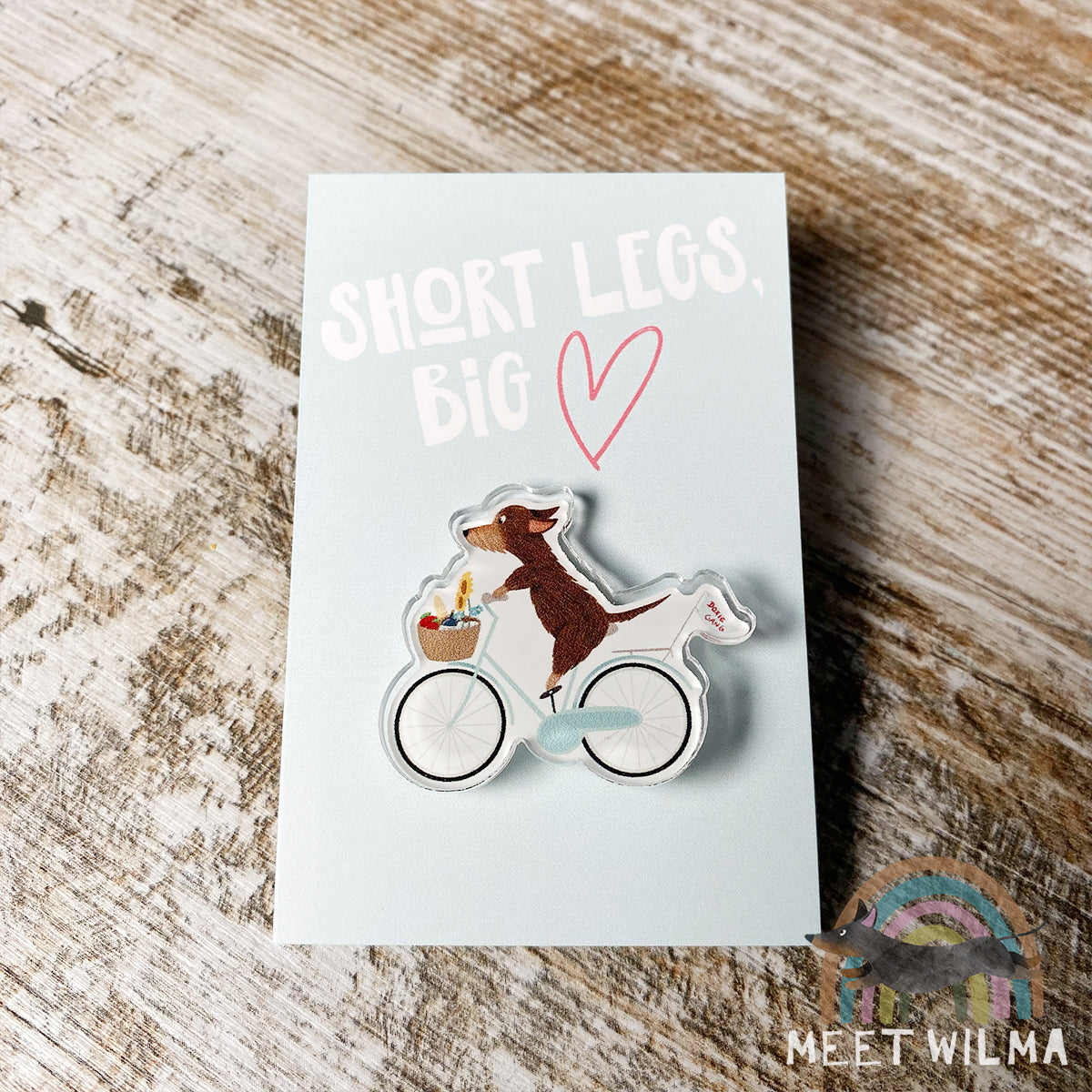 Acrylic Pin "Doxie Gang"