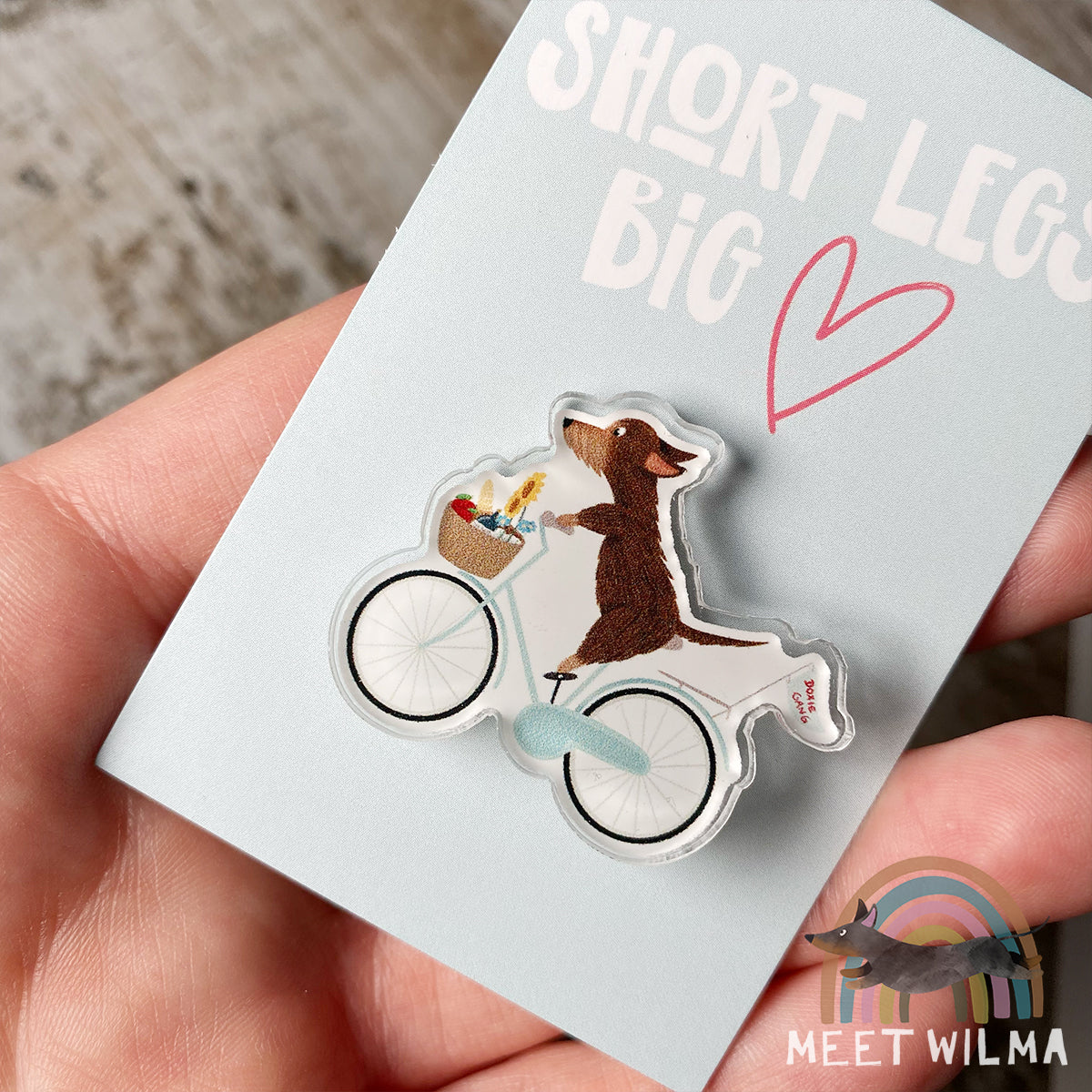 Acrylic Pin "Doxie Gang"