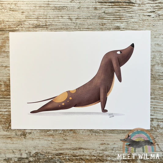 Print "Stretching Sausage"