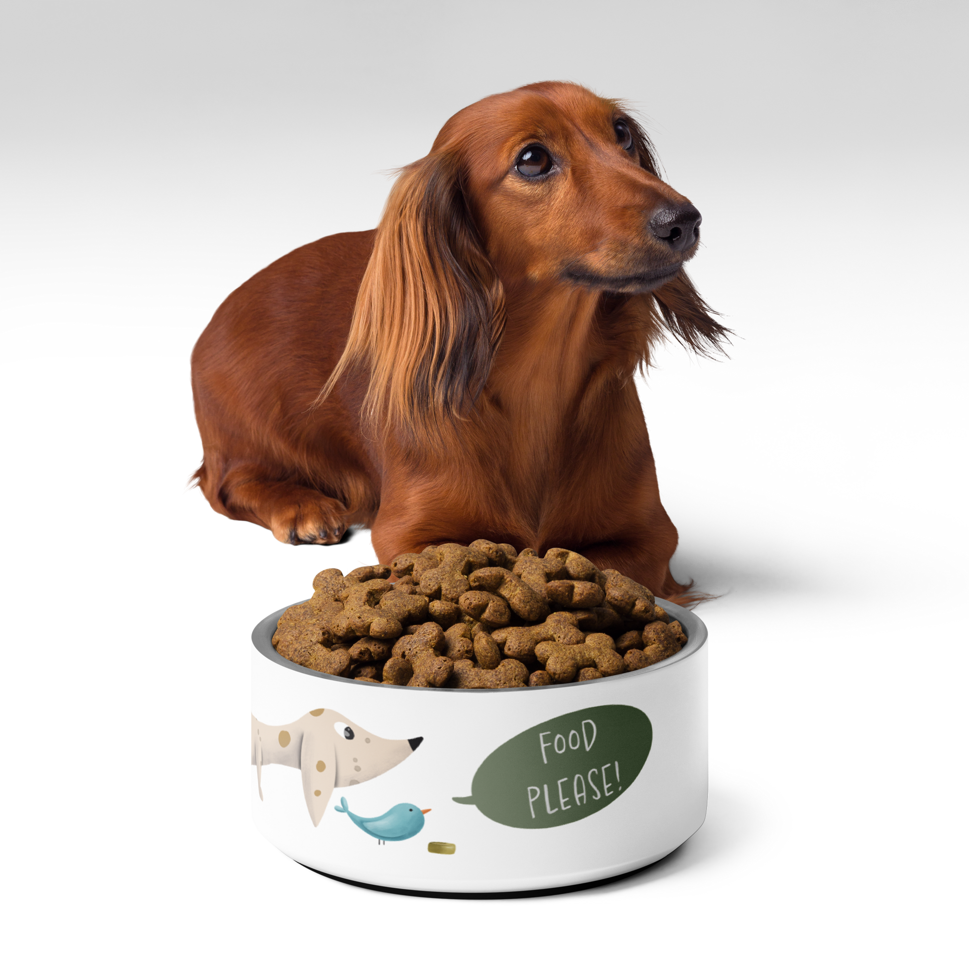 Premium AI Image  Cute Dachshund Dog standing next to the food bowl at  home kitchen