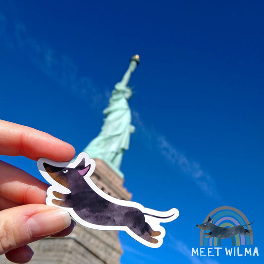 Magnet "Flying Sausage"